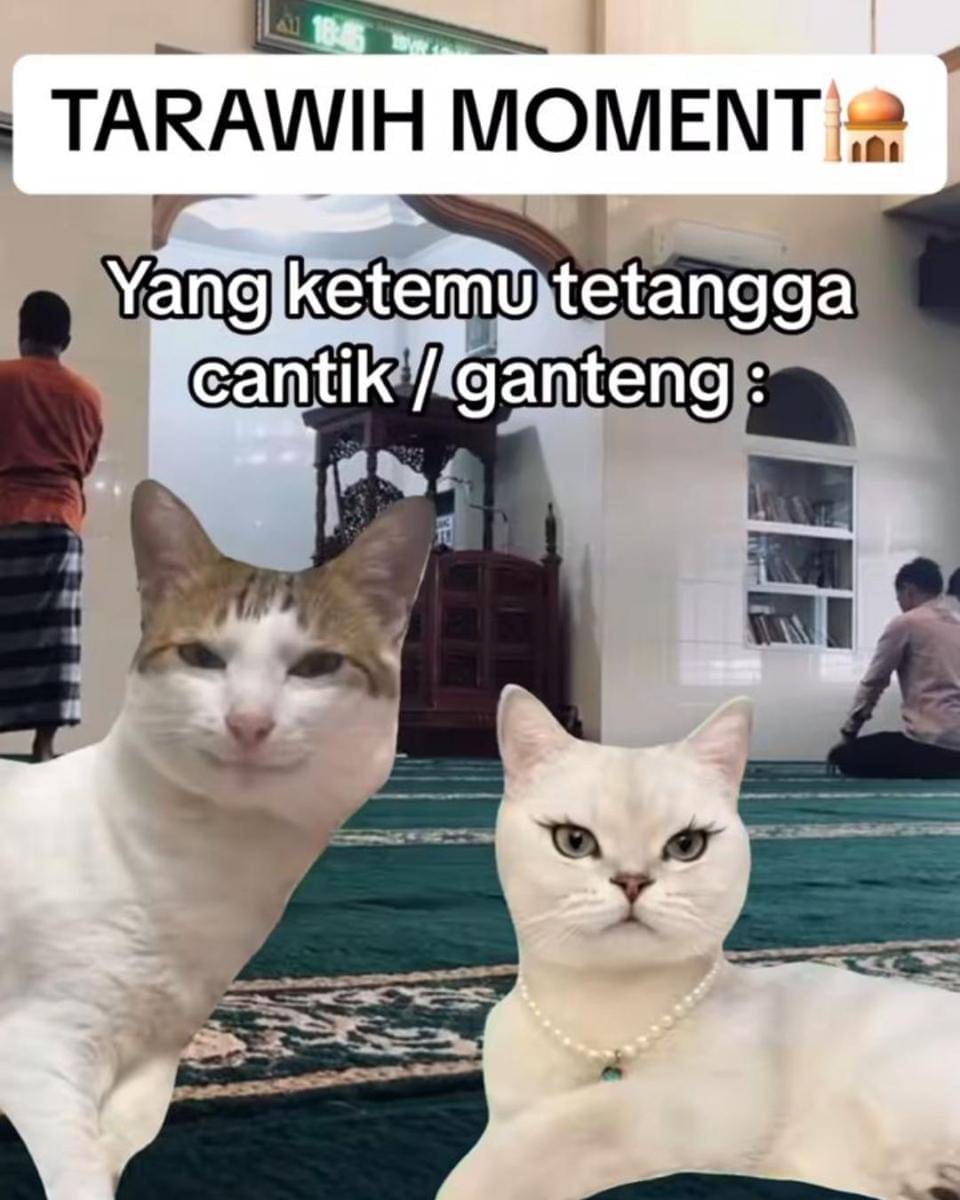 Instagram.com/memekucingofficial